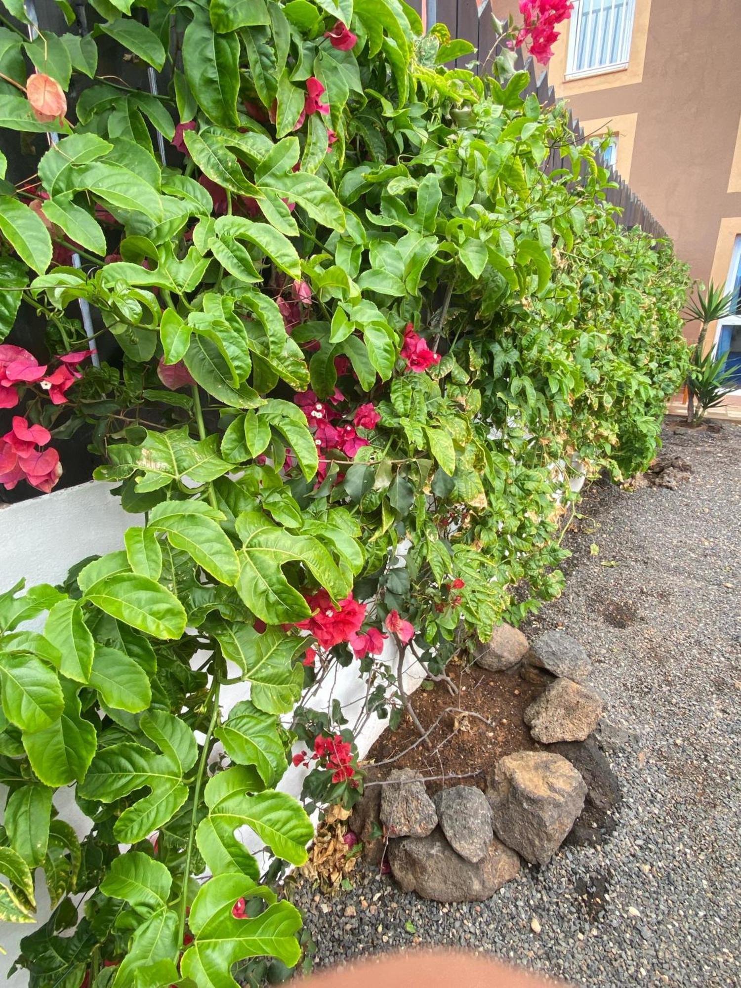 Blue Wave House Corralejo Apartment La Oliva Exterior photo